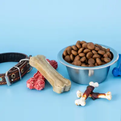 Alimentos Para Mascotas